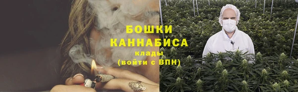ГАЛЛЮЦИНОГЕННЫЕ ГРИБЫ Абаза