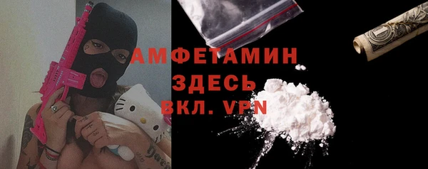 ГАЛЛЮЦИНОГЕННЫЕ ГРИБЫ Абаза