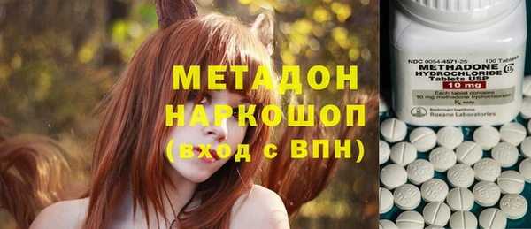 ГАЛЛЮЦИНОГЕННЫЕ ГРИБЫ Абаза