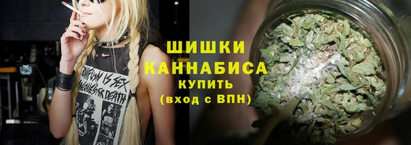 ГАЛЛЮЦИНОГЕННЫЕ ГРИБЫ Абаза