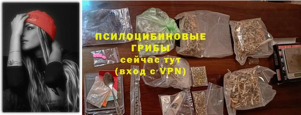 ГАЛЛЮЦИНОГЕННЫЕ ГРИБЫ Абаза