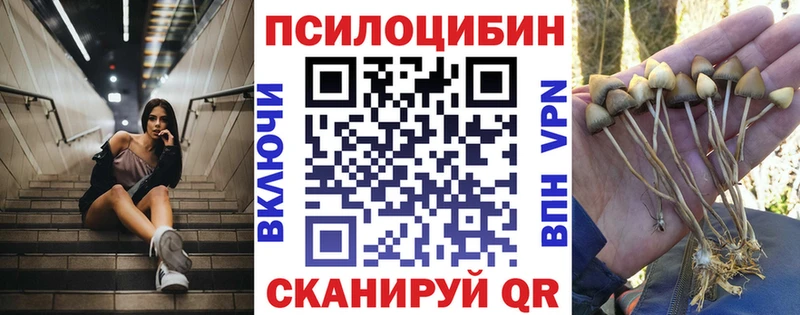 Псилоцибиновые грибы Magic Shrooms  даркнет сайт  Шарыпово 