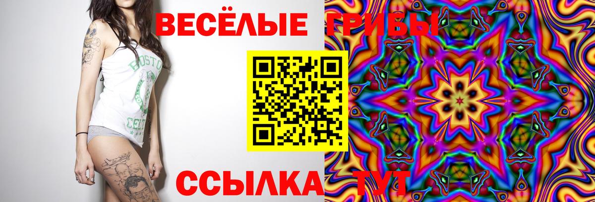 Шарыпово  Псилоцибиновые грибы Cubensis  Вход с VPN 